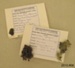 Collection of Catlins' Specimens; Catlins District; 2010.906