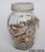 Jar of shells; Ross, Mary (Mrs J K); CT83.1591b