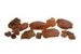 Wintle Collection of Kauri Gum.; 594