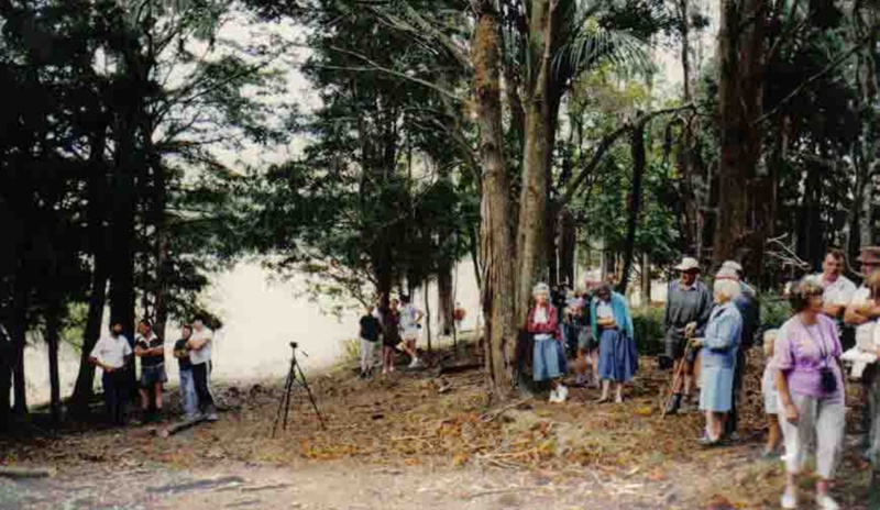 Felling Kauri at Balderstons