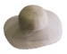 Ladies Hats x 41; 381
