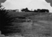 Haymaking at Dowson's Farm, Kaiwaka 1932; 18-261