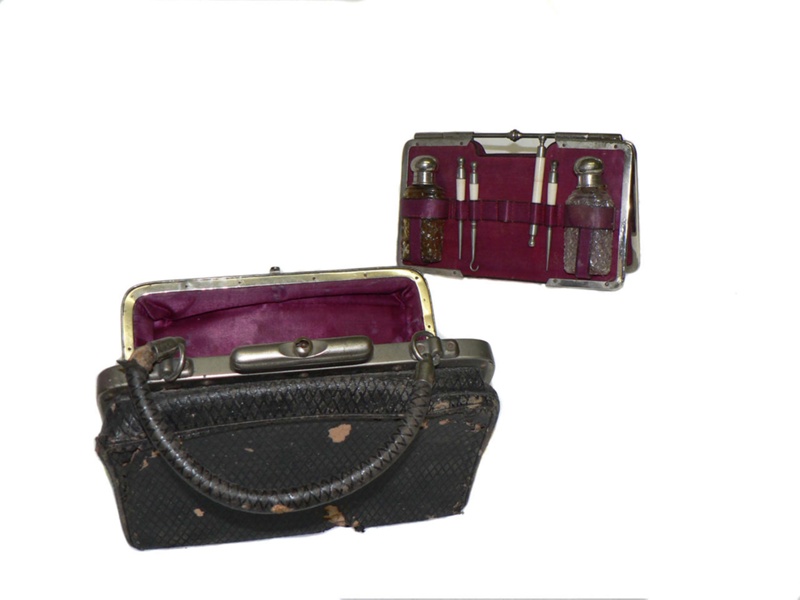 Travel Case; 150 eHive