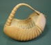  Armadillo's shell needle work basket; c.1912; 75/137