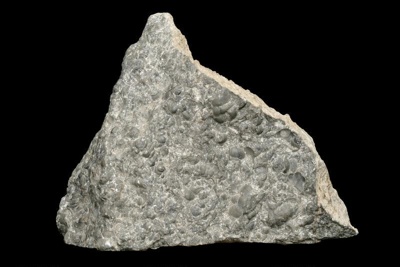 Trilobite Limestone, AU7133