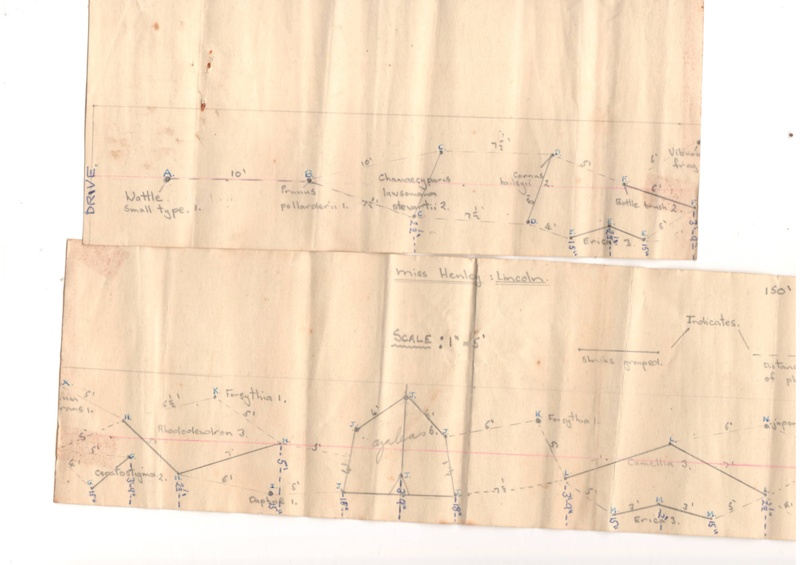 Garden plans / Miss Henley, Lincoln
