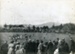 1904 Rugby game in progress on Pukeroa Hill; Unknown; 1904; CP-1012