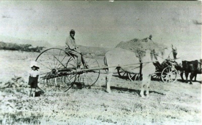 Haymaking at Peat's Farm, 1920, CP-2430