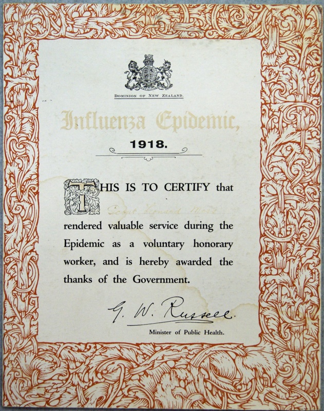 INFLUENZA EPIDEMIC influenza epidemic: