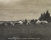 Postcard, Murihiku Mounted Rifles in Camp, Wyndham, 1908; Unknown photographer; 1908; WY.1991.12