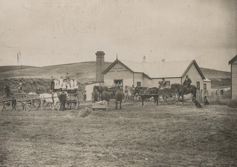 Photograph, Mataura Island Dairy Factory; Jones and Clark; 1890-1900 ...