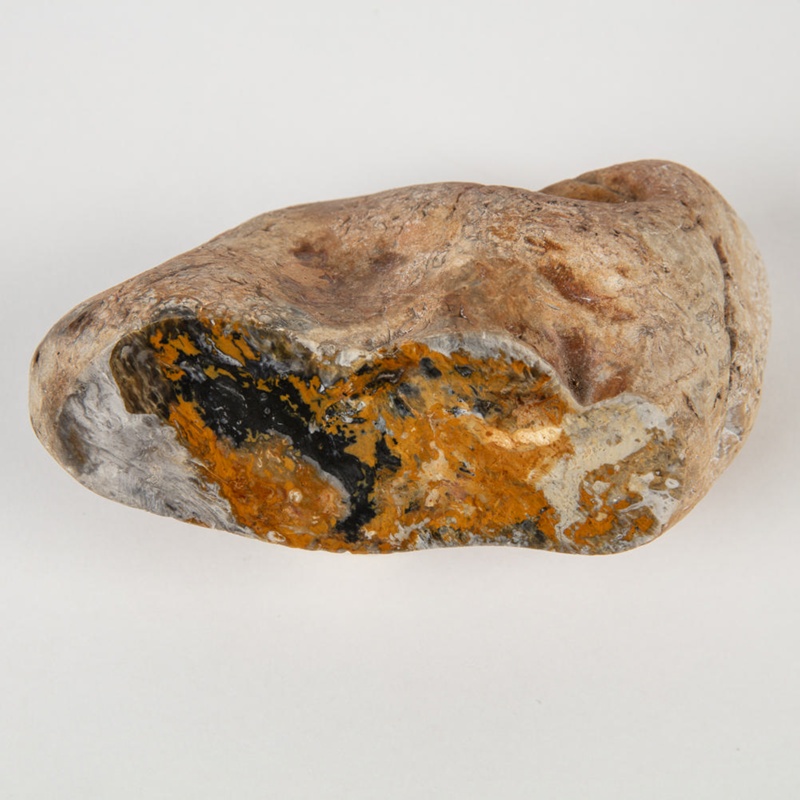 Geology Specimen, Chert; rock, sedimentary; WY.1997.21.1 | eHive