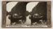 Stereoscopic Photograph, Milford Sound; George Rose; 1904 - 1907; WY.0000.813