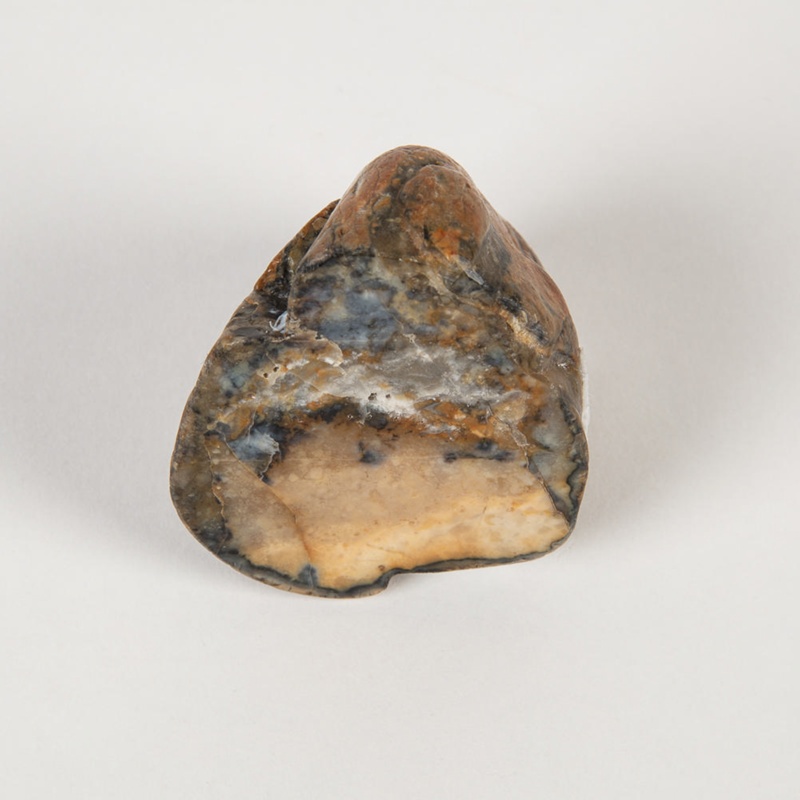 Geology Specimen, Chert; rock, sedimentary; WY.0000.1098 | eHive