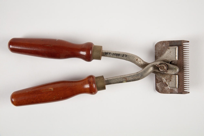 Clippers, Horse; Albert Martin & Co Ltd; 19001950; WY.2000.27.2.1 on