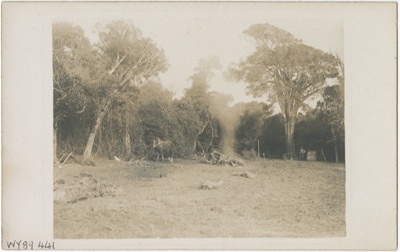 Postcard, Thompson's Farm; Unknown photographer; 1900-1910; WY.1989.441.11