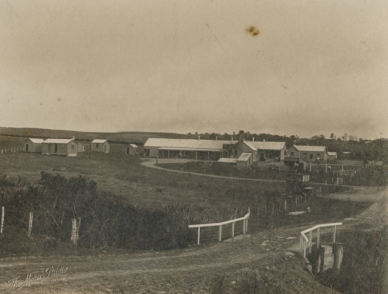 Photograph, Island Dairy Factory 1896; Mora Studio; 1896; WY.0000.235