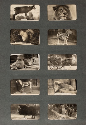 Album, Cigarette Cards ; The Three Castles; 1930-1940; WY.0000.943