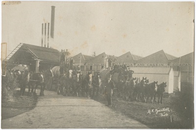 Photograph, Staff Outside the New Zealand Milk and Casein Company Factory at Edendale; H.R. Bartlett Photo; 1925-1935; WY.0000.295