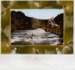 Photograph, Mimihau River Munro's Bush on Glass; Unknown photographer; 1910-1920?; WY.1989.514.1