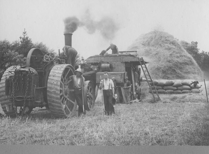 Thrashing grain