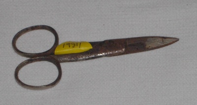 Buttonhole Scissors; 1981-1216-1 
