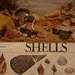 Shells, 1321