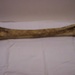 Moa bone, Unknown, New Zealand, 1319