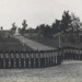 Maori Cemetery, Point Bush, H M Christie, c. 1936, 012-2002-1026-01311