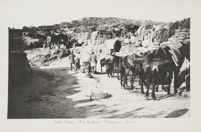 Gallipoli Military Campaign: Mule Gully Headquarters
; Doubleday Lawrence; October 1915; CA000316/002/0012