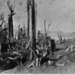 Tikitapu Bush.
After the Tarawera eruption.
Burton Bros. 4072; 33