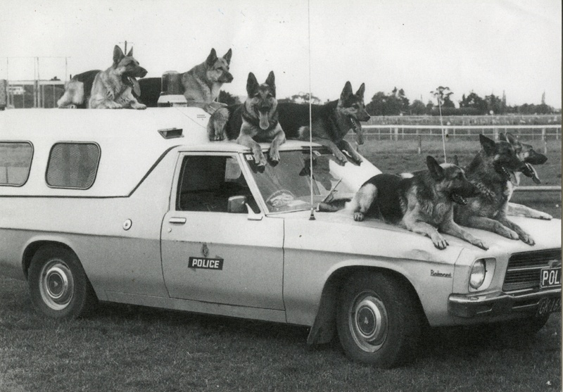 New Zealand Police Museum