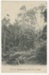 Postcard, Green Point, Bluff; Andersen, P.C.; 1910-1915; BL.P723(g) 