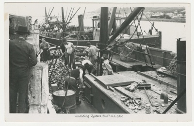 Photograph, unloading oysters from the 'Karaka' 1946.; Unknown Photographer; 1946; P 662 b 