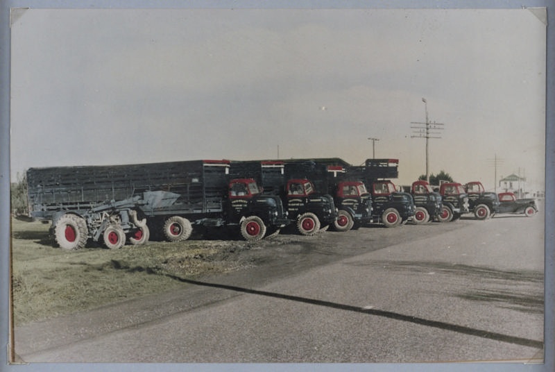 Photograph, Thornbury Transport Fleet c 1950s [DEFRAME?]; Unknown ...