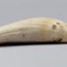 Tooth, Parāoa, Sperm whale tooth; RI.W2002.1137