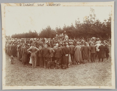Photograph, Drummond horse sale; Unknown photographer; 1908-1909; RI.P0000.66