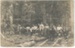 Photograph, More and Sons Sawmill; Unknown photographer; 1900-1920; RI.P33.93.455