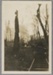 Hauling logs back to the mill; Unknown maker; 1935; RI.P45.93.607
