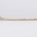Bone, Toroa, Albatross humerus; RI.0000.275