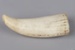 Tooth, Parāoa, Worked sperm whale tooth; RI.W2002.1144