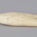 Tooth, Parāoa, Sperm whale tooth; RI.W2002.1142