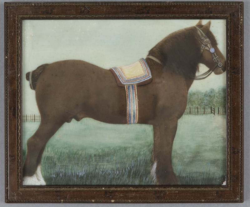 Framed painting, Portrait of a draught horse; Unknown artist; Unknown