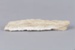 Whalebone, Unknown species; RI.0000.276