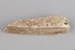 Bone, Animal, Worked fragment; Unknown bone worker; 1250-1900; RI.0000.264
