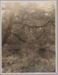 Photograph, Rail bridge in the bush; Unknown photographer; 1910-1945; RI.P0000.127