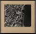 Framed photograph, Aerial view of North Riverton; Unknown photographer; 1965-1975; RI.FW2021.044