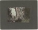 Photograph, Two sawmillers in the bush; Southland Photo Company; 1900-1920; RI.P3.92.39