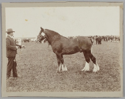 Photograph, Man and horse; Unknown photographer; 1900-1950; RI.P0000.69