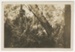 Photograph, Felling a beech tree 1935; Unknown photographer; 1935; RI.P45.93.605